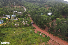 Thủ tướng yêu cầu xử nghiêm việc xây dựng trái phép trên đất rừng phòng hộ