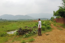 Chủ tịch Hà Nội nói về vụ người nhà Giám đốc Sở KH-ĐT được giao đất trái luật