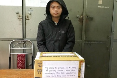 Bắt đối tượng vận chuyển 66.000 viên ma túy tổng hợp