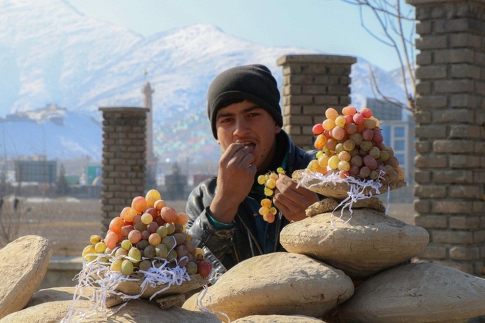 Bí quyết bảo quản nho nửa năm vẫn tươi như mới hái ở Afghanistan - 1 Bí quyết bảo quản nho nửa năm vẫn tươi như mới hái ở Afghanistan - 1