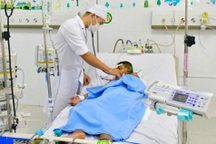 Giẫm phải tổ ong vò vẽ, bé trai 8 tuổi bị đốt hơn 60 vết