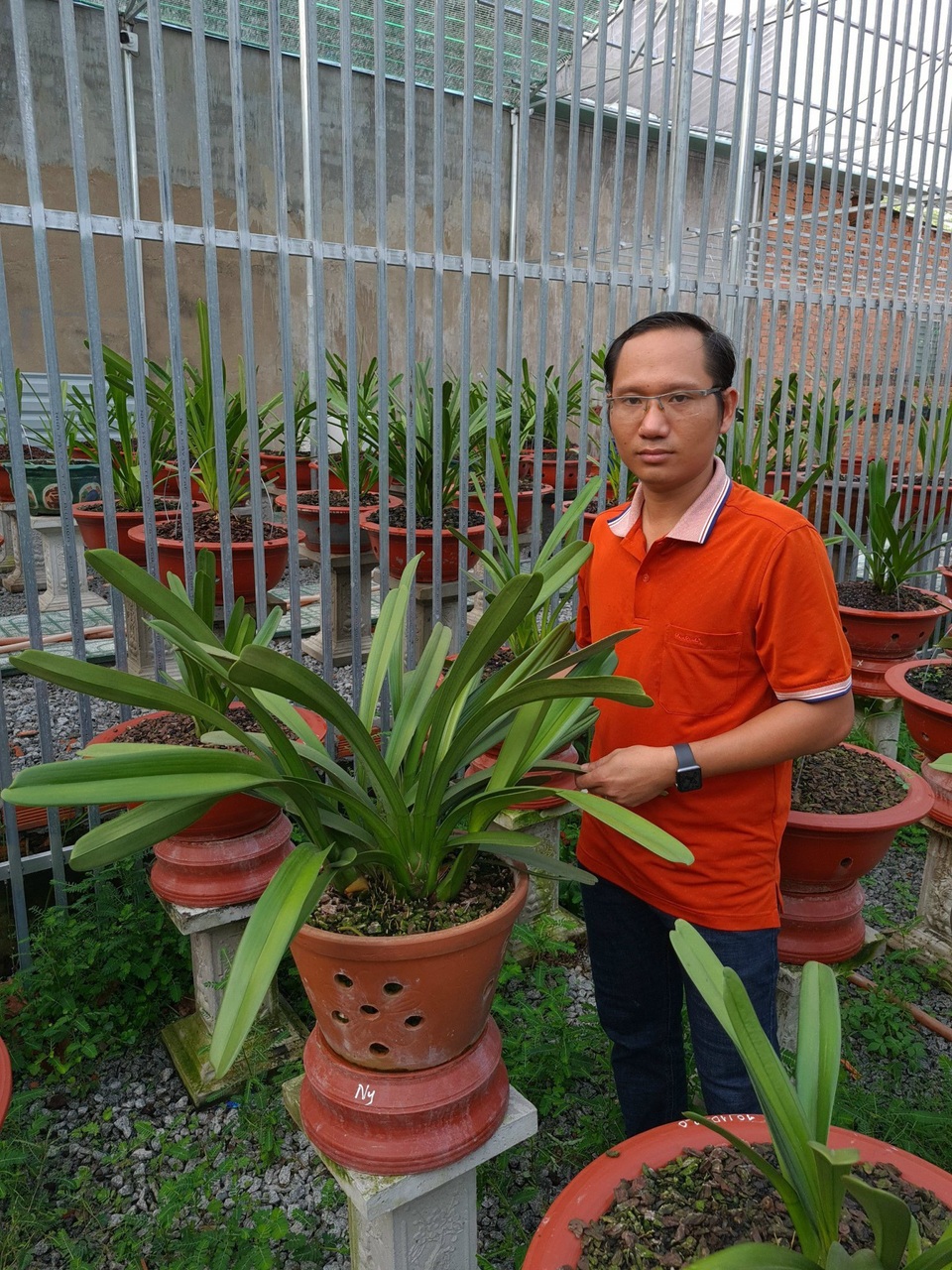 Nghệ nhân trồng lan Phạm Tấn Ny chia sẻ bí kíp chăm hoa bền đẹp, ít sâu bệnh - 1