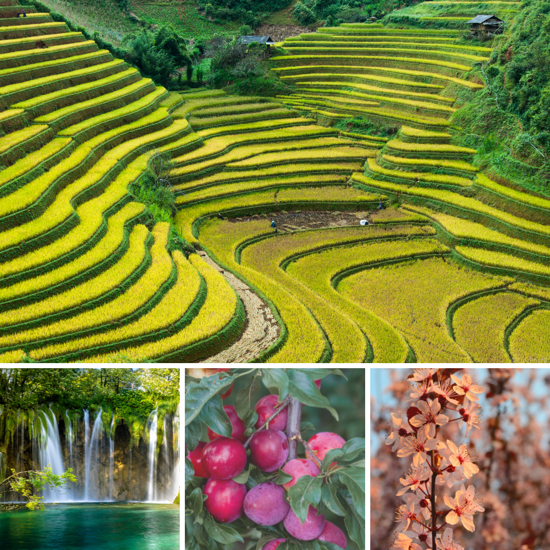 Tiềm năng phát triển bất động sản, dịch vụ du lịch của cao nguyên Mộc Châu - 1 Tiềm năng phát triển bất động sản, dịch vụ du lịch của cao nguyên Mộc Châu - 1