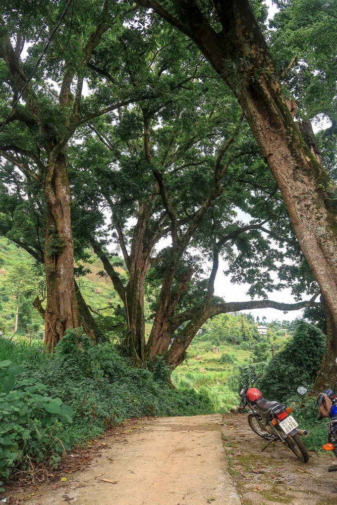 Nhật ký hành trình tới Hà Giang của cô gái yêu du lịch bụi: Làng Thiên Hương như một ngôi làng cổ tích, Du Già đẹp mê ly! - Ảnh 8.