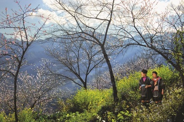 Du lịch Sa Pa vươn tới top đầu miền Bắc