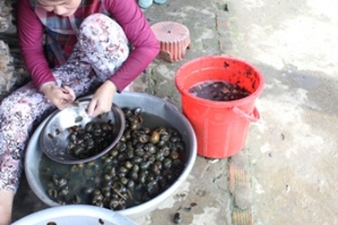 Kiếm sống nhờ săn bắt "quái vật" của mùa màng