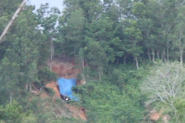 Thuê đất trồng rừng để khai thác vàng