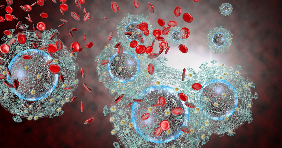 4 loại virus, vi khuẩn gây ung thư bạn cần biết để tránh - 1 4 loại virus, vi khuẩn gây ung thư bạn cần biết để tránh - 1