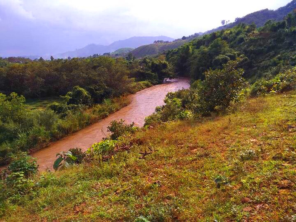 Ngọc Sơn làm nông dân chính hiệu trong khu vườn 2 hecta lần đầu tiết lộ - 7 Ngọc Sơn làm nông dân chính hiệu trong khu vườn 2 hecta lần đầu tiết lộ - 7
