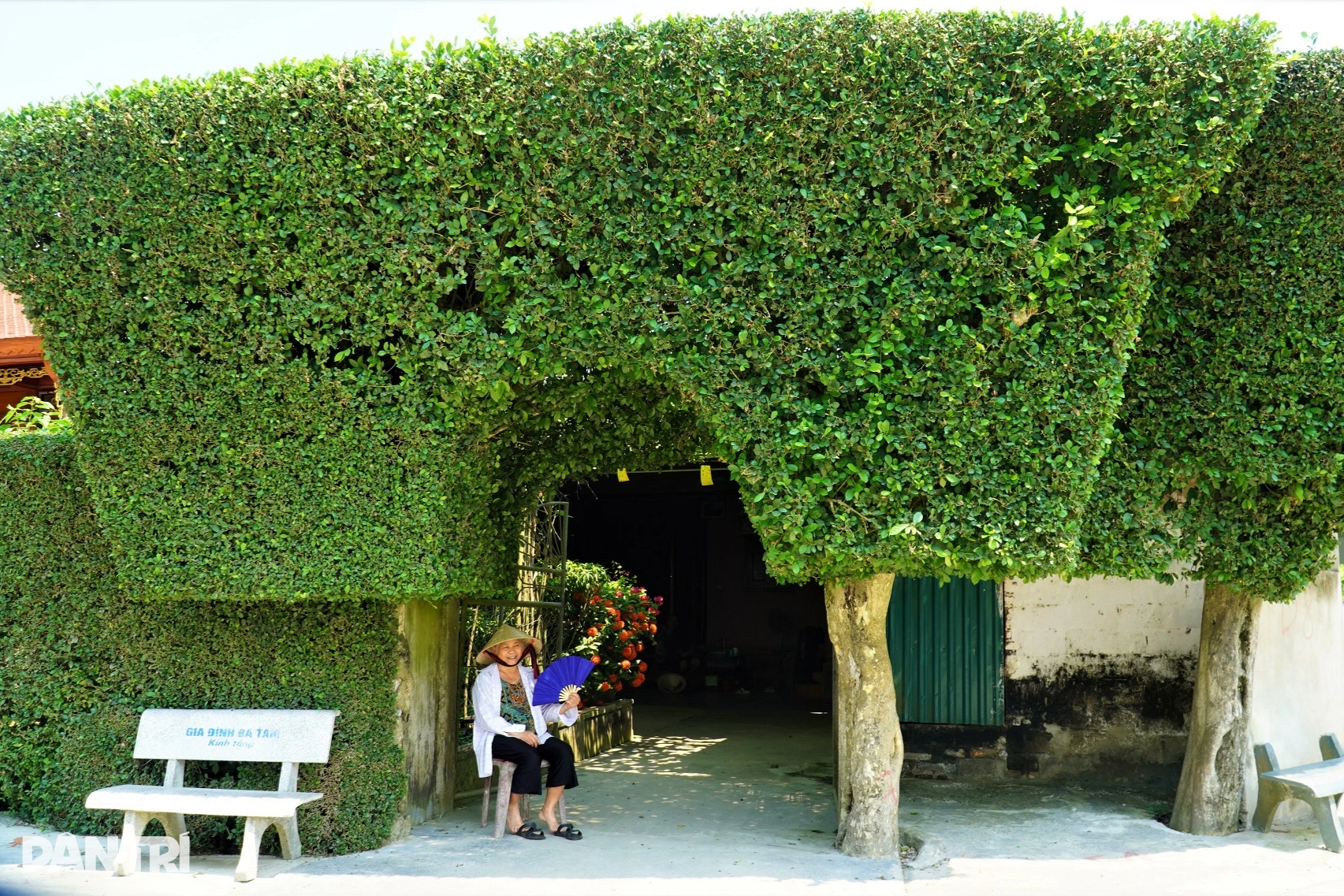 View - Quê hương cố Tổng Bí thư Trần Phú - "Về làng quê ngỡ như phố" | Báo Dân trí