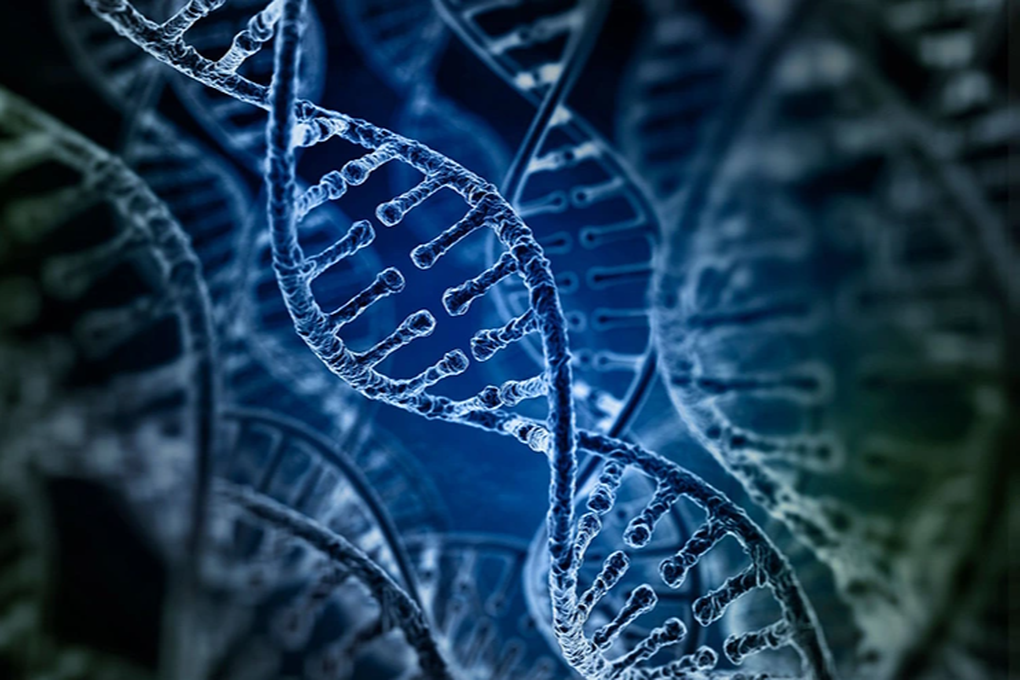 Không chỉ rượu bia, nhiều thủ phạm gây ung thư đang hiện diện quanh ta - 1 Không chỉ rượu bia, nhiều thủ phạm gây ung thư đang hiện diện quanh ta - 1