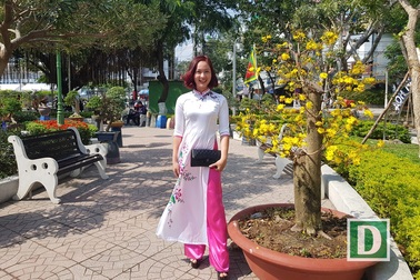 Hàng mai cổ thụ hơn 20 năm tuổi, quyến rũ nhất ở Nha Trang