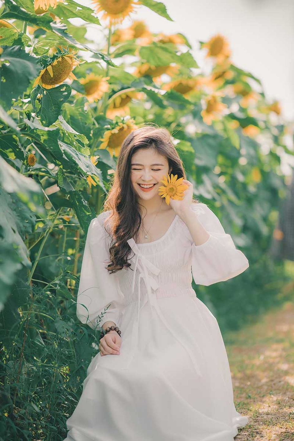 Cựu nữ sinh Ngoại thương khoe sắc bên hoa hướng dương - 8 Cựu nữ sinh Ngoại thương khoe sắc bên hoa hướng dương - 8