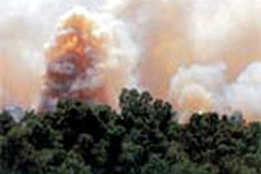 Nguy cơ cháy rừng đang ở cấp cao