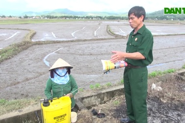Đồng ruộng xanh sạch nhờ mô hình "thu gom vỏ bao bì thuốc BVTV”