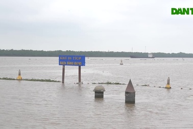 Cận cảnh bãi cọc Cao Quỳ: Chứng tích lịch sử trên sông Bạch Đằng