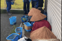 Nước mắt hòa mưa đổi mức lương 40 triệu đồng của nữ lao động Việt ở Nhật