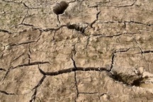 Người dân phải bỏ hoang hàng nghìn ha đất vì nắng hạn