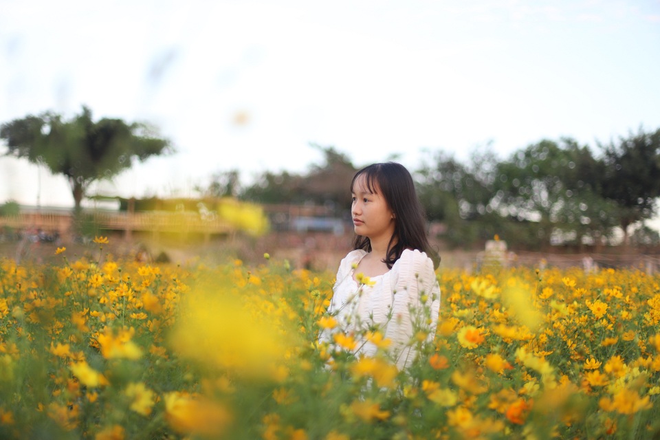 Lung linh sắc hoa bên dòng sông Đăk Bla - 6 Lung linh sắc hoa bên dòng sông Đăk Bla - 6
