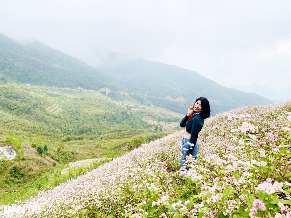 Hoa tam giác mạch nở rộ, du khách khắp nơi đổ về Hà Giang check-in - 3 Hoa tam giác mạch nở rộ, du khách khắp nơi đổ về Hà Giang check-in - 3
