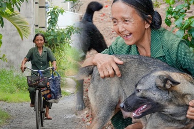 Cụ bà từng 3 nhà, về già tay trắng vẫn nhịn ăn nuôi đàn chó, mèo hoang