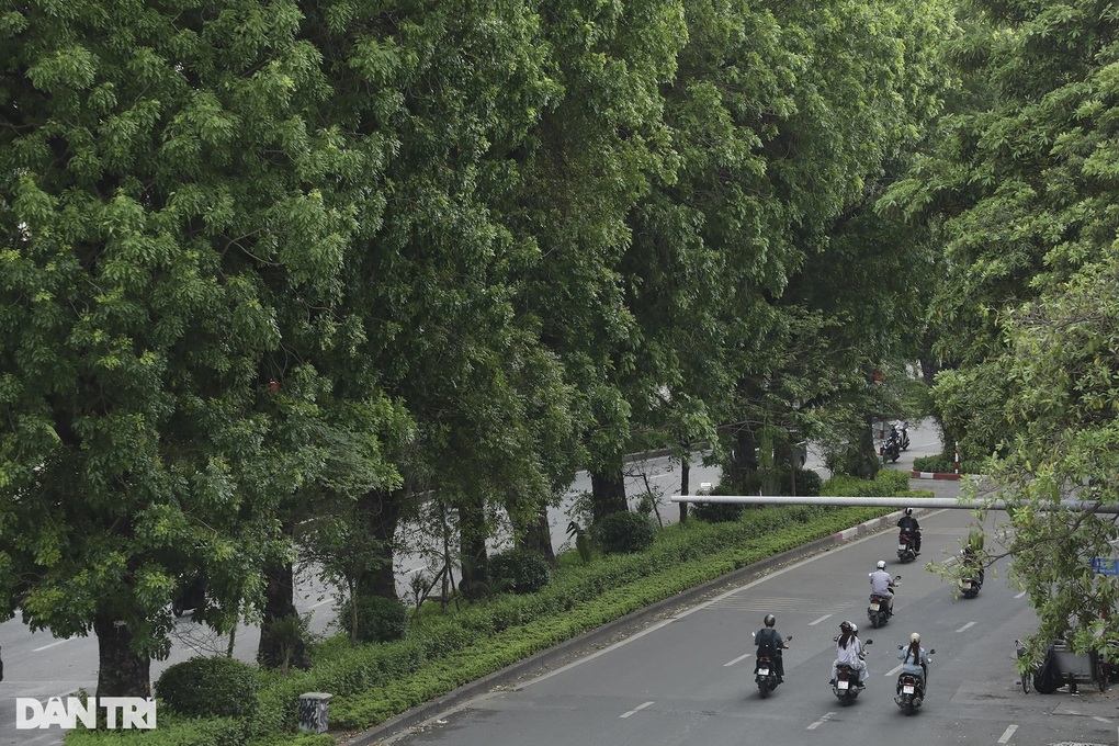 3 phương án mở rộng đường Láng ở Hà Nội - 2 3 phương án mở rộng đường Láng ở Hà Nội - 2