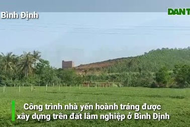 Bất thường công trình "mọc" sừng sững trên đất lâm nghiệp