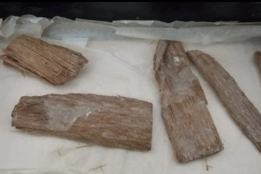 Mảnh gỗ tuyết tùng 5.000 năm tuổi cực hiếm hé lộ bí mật của Đại kim tự tháp