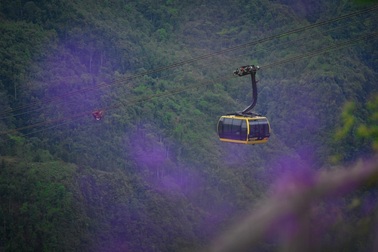 Hành trình du lịch tháng 7 chất như nước cất tại Sa Pa