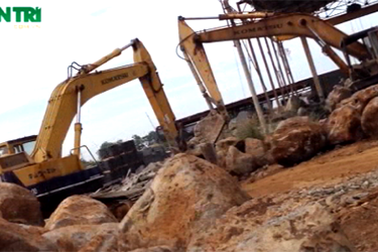 Đá "tặc" lộng hành tàn phá môi trường sống