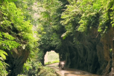 Đường hầm xanh mướt giữa núi rừng Thái Nguyên đẹp như châu Âu gây sốt mạng