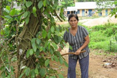 Bà mẹ Vân Kiều và 6 người con đại học