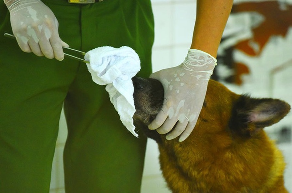 Truy tìm hung thủ sát hại hai vợ chồng trong đêm mưa bão - 3 Truy tìm hung thủ sát hại hai vợ chồng trong đêm mưa bão - 3