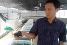 Ninh Bình: Thầy giáo dạy toán kiếm chục triệu mỗi tháng từ nghề… “tay trái”