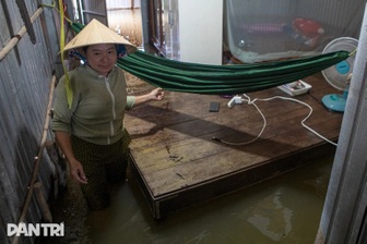 Hai tuần ngập nước và những đêm trắng của người đầu nguồn Đồng Tháp Mười