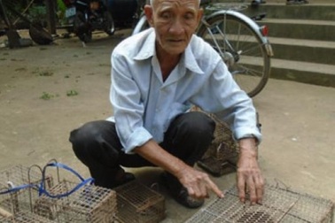 “Đệ nhất cao thủ” bắt chuột dừa