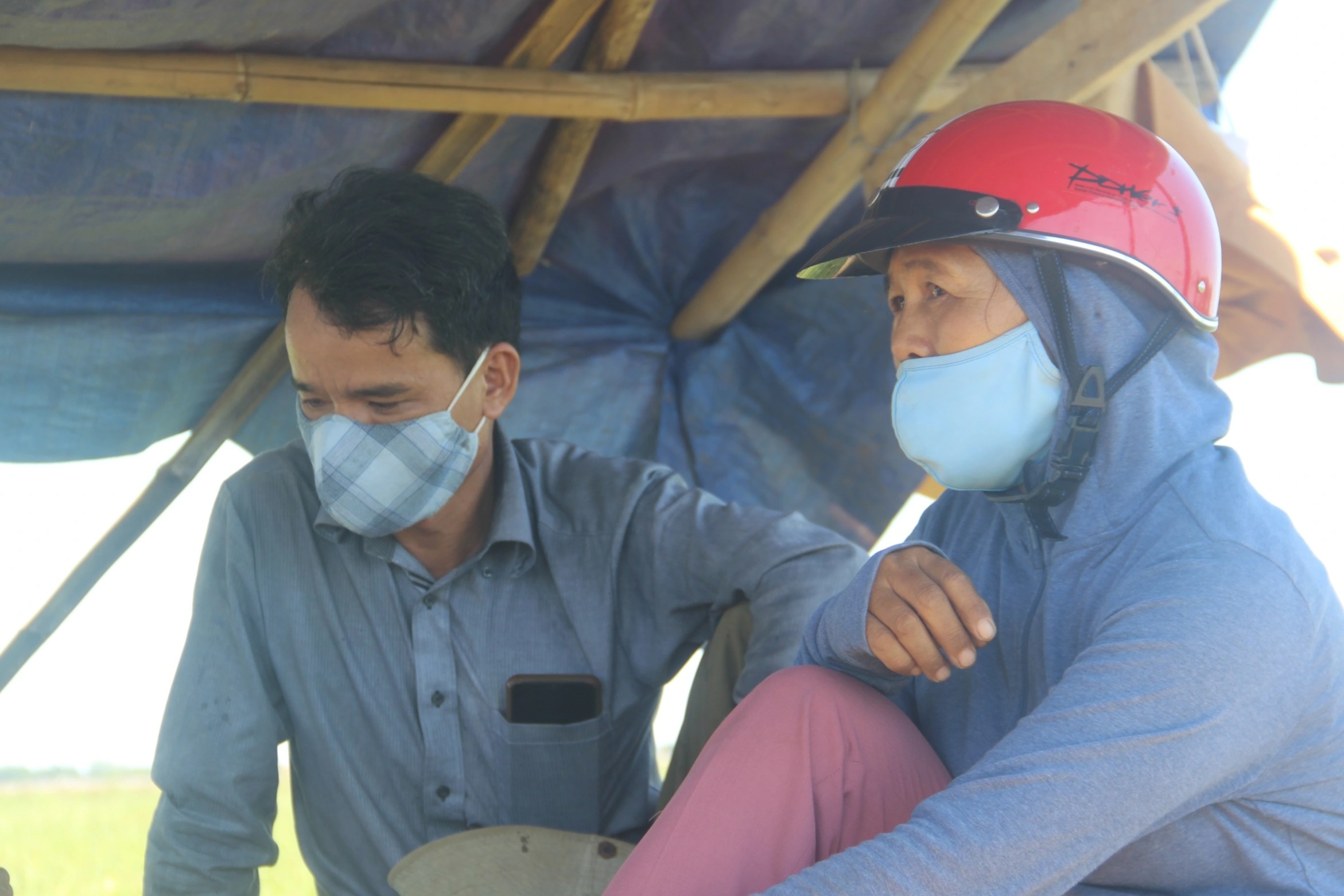 Thu nhập cao hơn cây lúa nhờ trồng dưa trái vụ - 4 Thu nhập cao hơn cây lúa nhờ trồng dưa trái vụ - 4