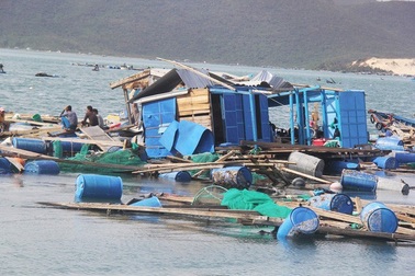 Khánh Hòa xác minh thông tin "người thân cán bộ được hỗ trợ bão, dân thì không"