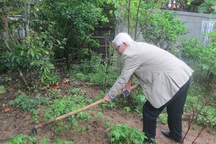 Bắt đầu động thổ thăm dò dấu vết lăng mộ Hoàng đế Quang Trung