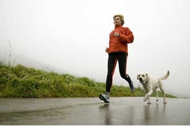 Vật nuôi giúp giảm nguy cơ mắc bệnh tim