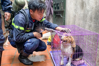 "Siêu nhân" giữa đời thường