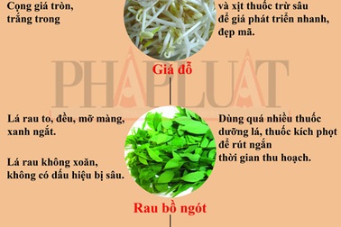 Infographic: 10 loại rau củ 'tắm' hóa chất nhiều nhất (phần 1)