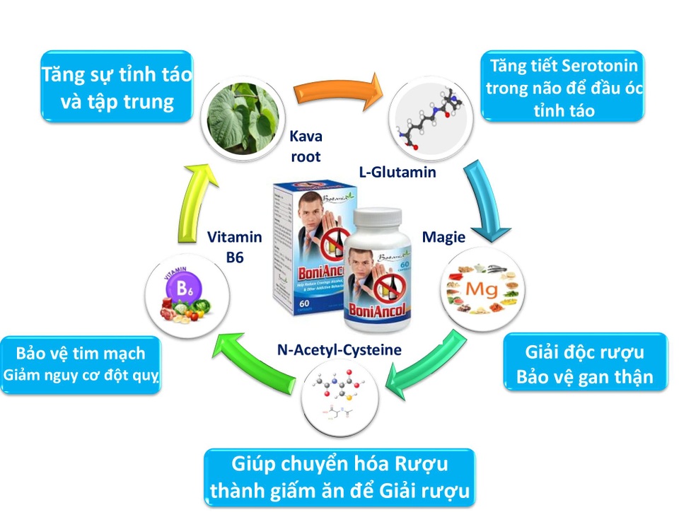 BoniAncol là gì? BoniAncol có tốt không? - 1 BoniAncol là gì? BoniAncol có tốt không? - 1