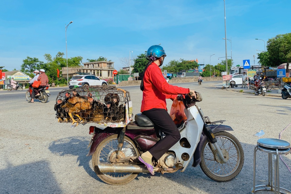 Ngày đầu dỡ lệnh nội bất xuất, ngoại bất nhập ở xã Phong Hiền - 7 Ngày đầu dỡ lệnh nội bất xuất, ngoại bất nhập ở xã Phong Hiền - 7