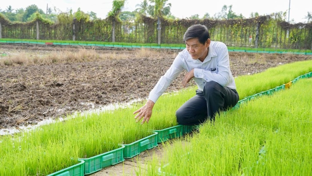 Vinh danh tiến sĩ nghỉ hưu bám đồng làm giống gạo ngon nhất thế giới - 1 Vinh danh tiến sĩ nghỉ hưu bám đồng làm giống gạo ngon nhất thế giới - 1