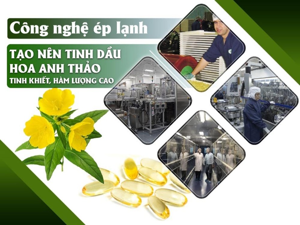 Tinh dầu hoa anh thảo Careline - sản phẩm được Á hậu Tú Anh tin dùng - 2 Tinh dầu hoa anh thảo Careline - sản phẩm được Á hậu Tú Anh tin dùng - 2