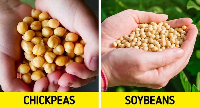 12 loại thực phẩm thường xuyên khiến người khác nhầm lẫn tai hại, chỉ nhìn vẻ ngoài thì đố ai phân biệt được - Ảnh 7. 12 loại thực phẩm thường xuyên khiến người khác nhầm lẫn tai hại, chỉ nhìn vẻ ngoài thì đố ai phân biệt được - Ảnh 7.