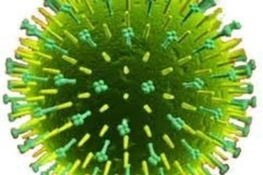 Nam thanh niên 20 tuổi tại Đắk Lắk mắc bệnh truyền nhiễm nguy hiểm