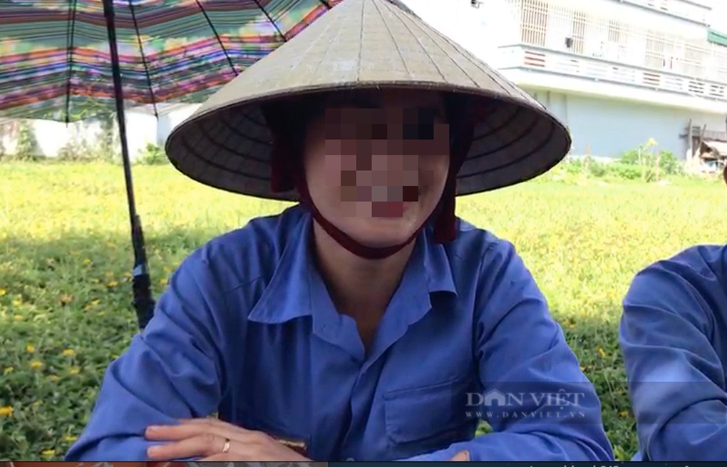 Trốn nắng nóng, hàng chục công nhân ngụy trang bằng lá cọ - 1 Trốn nắng nóng, hàng chục công nhân ngụy trang bằng lá cọ - 1