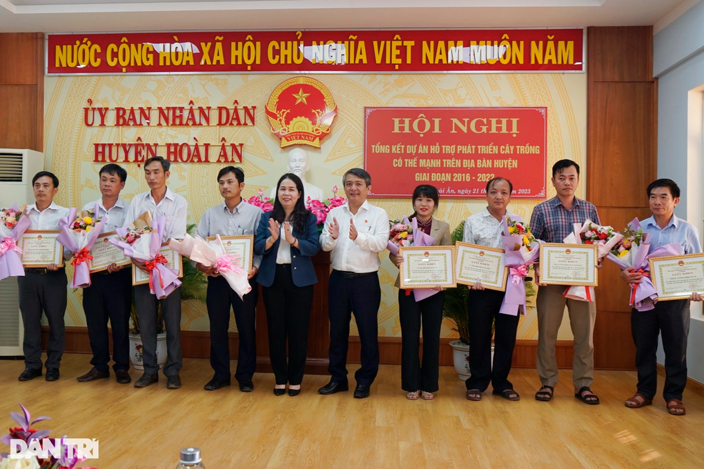 Khai tử cây keo, trồng bưởi da xanh, nông dân Bình Định thành tỷ phú - 4 Khai tử cây keo, trồng bưởi da xanh, nông dân Bình Định thành tỷ phú - 4